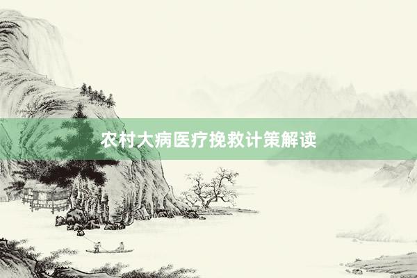 农村大病医疗挽救计策解读