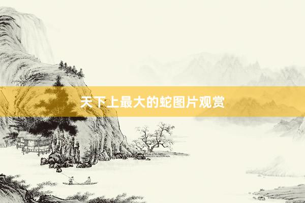 天下上最大的蛇图片观赏
